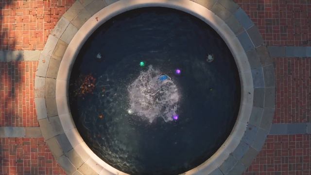 Newton White Mansion, Venues of Prince George's смотреть онлайн