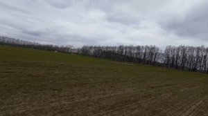 Одно из видов хобби.