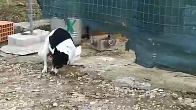 22 апреля 2017 г. смотреть онлайн