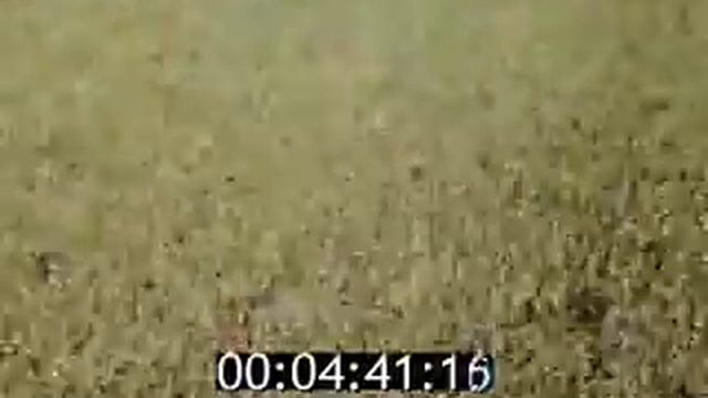 Сельское хозяйство СССР (1986 год). Часть 1 смотреть онлайн