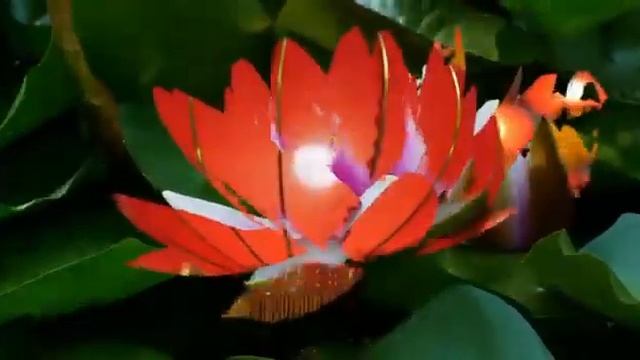 Soo-Yun Корейская уборка