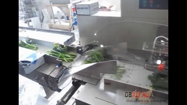 Упаковка зелени без подложки на упаковочной машине OB 600X на сервоприводах смотреть онлайн