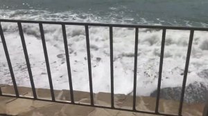 ARTEK VLOG | 1 ЧАСТЬ | ПОЛЕТЕЛА В АРТЕК?