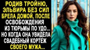 Родив тройню, Эльвира без сил брела домой, после освобождения из тюрьмы по УДО... Но когда она...