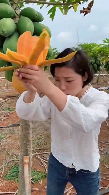 #milk papaya#soft waxy sweet#tropical fruit