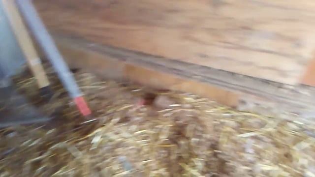 Enter at your own risk! смотреть онлайн