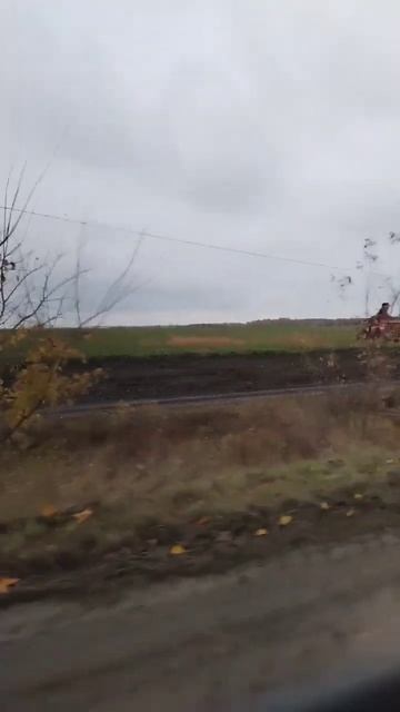 Сбор сахарной свеклы #семьявселе #сахар #свекла #комбайн #урожай #viral #россия #russia