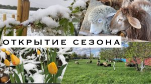 Жизнь на хуторе /Пришла пора /Брутальная калитка / Катькина любовь /12.04.2025/