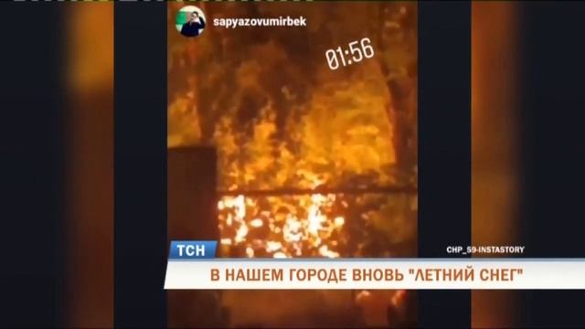 Пермь накрыл летний «снегопад»