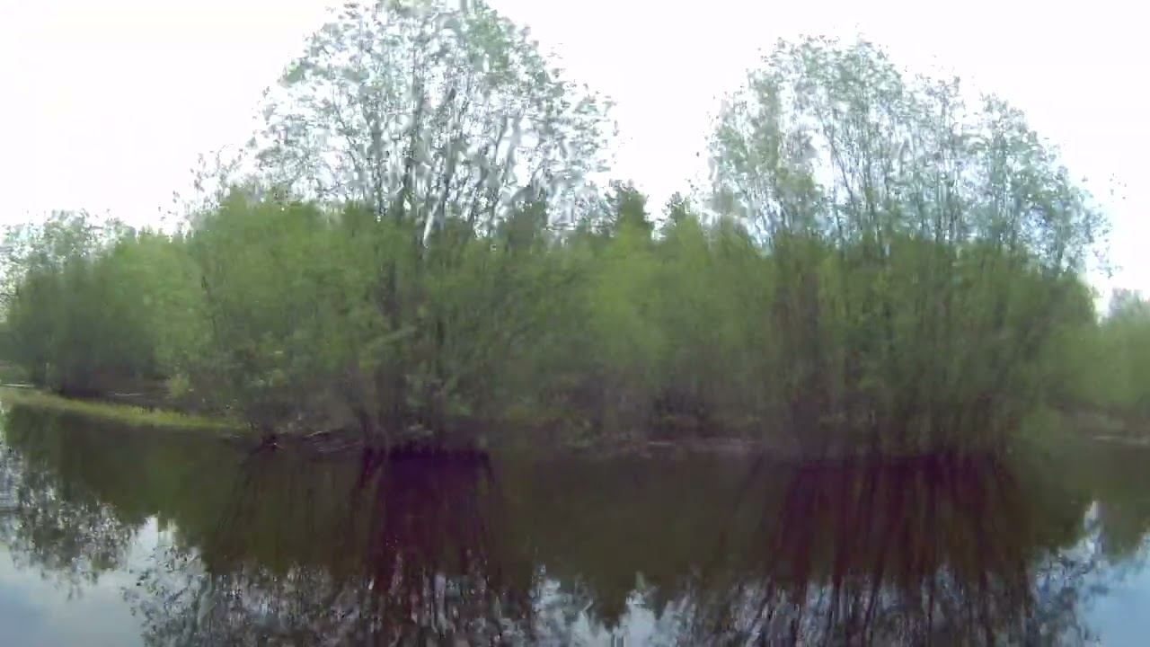 МУЗЫКА ТЁМНОГО ВРЕМЕНИ. LXXV. ПРОГРЕССИВНАЯ ПРОГУЛКА