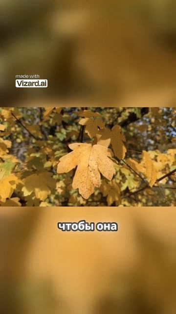 Как осознание боли помогает жить