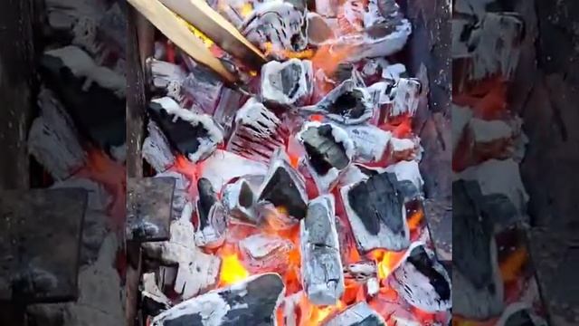 Шашлык из верблюжатины