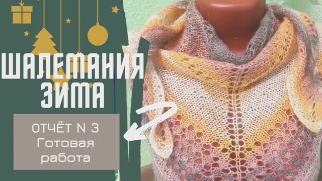 Готовая работа /Шалемания зима/ отчет 3