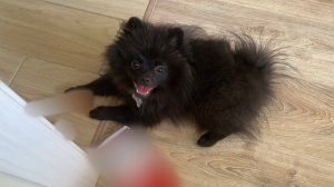 ДЕНЬ РОЖДЕНИЕ / 4 МЕСЯЦА / РАСПАКОВКА ПОДАРКОВ 🥳🎁