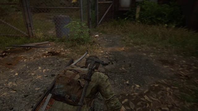The Last of Us #6