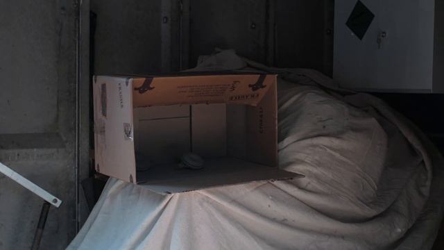 Painting The HORNS on my Civic Type R EP3!! смотреть онлайн