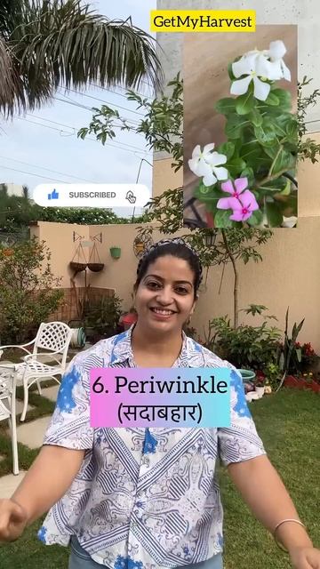 10 ऐसे पक्के पौधे जो फूल देंगे सारा साल | 10 Permanent Flowering Plants #Shorts