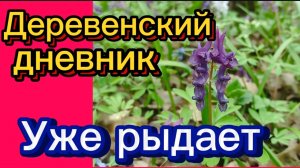 ДЕРЕВЕНСКИЙ ДНЕВНИК ОЧЕНЬ МНОГОДЕТНОЙ МАМЫ. "УЖЕ РЫДАЕТ..."