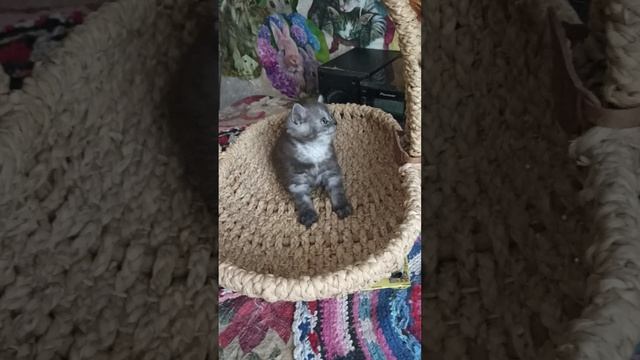 Мальчик