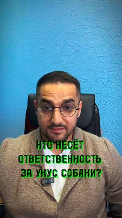 ⚖️ Кто несёт ответственность если вас укусила собака? #юристарменмартиросян #amlawyer