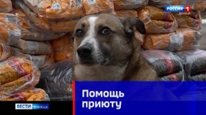 Помощь приюту