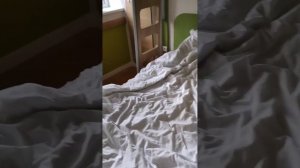 Отель IBIS (Ибис) Москва 2 *. Третья часть обзора