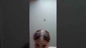 рассказ про хаус