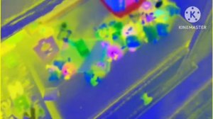 кокоменол и свинки пеппы in g major 2