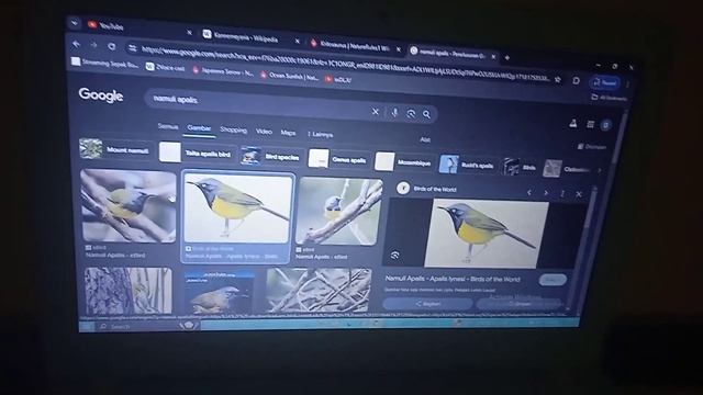 namuli apalis смотреть онлайн