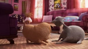 Noodle gets his new bed! - Noodle and Bun