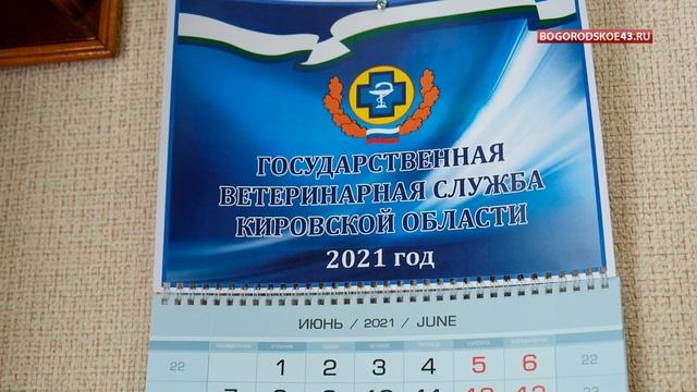 Про гибель пчёл смотреть онлайн