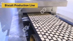 линия по производству печенья|производство печенья как бизнес