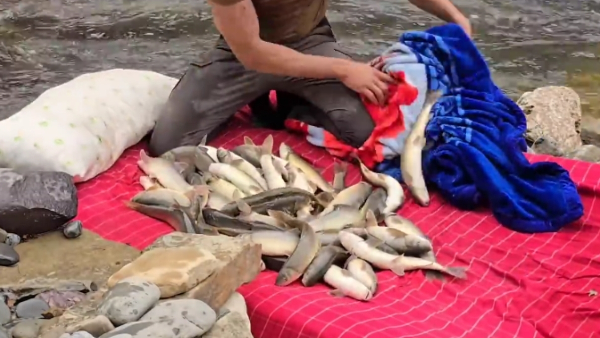 Рыбалка во сне 🐠🐋🐟