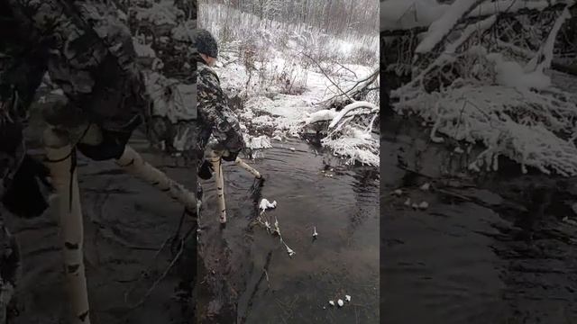 Удачная проверка капканов. Бобрик попался. смотреть онлайн