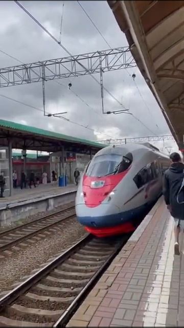 ЭВС2-02 «Сапсан» с сообщением Нижний-Новгород-Санкт-Петербург смотреть онлайн