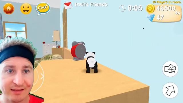 I became a panda 🐈 смотреть онлайн