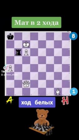 Шахматная задачка #шахматы #chess #chorts