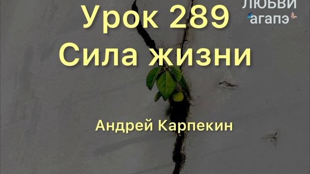 289. Сила жизни. Школа Любви Агапэ.