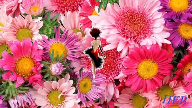 С женским днем смотреть онлайн