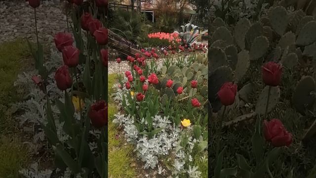 Немного красоты в ленту