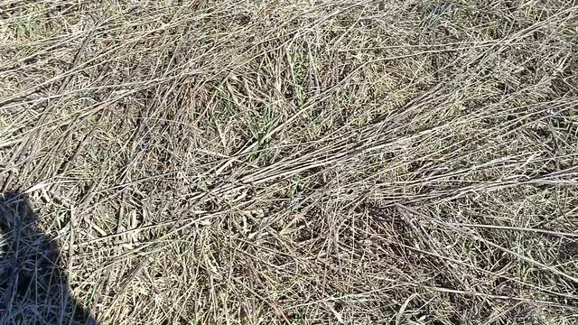 НАКОПАЛИ НЕМНОГО 👍 смотреть онлайн