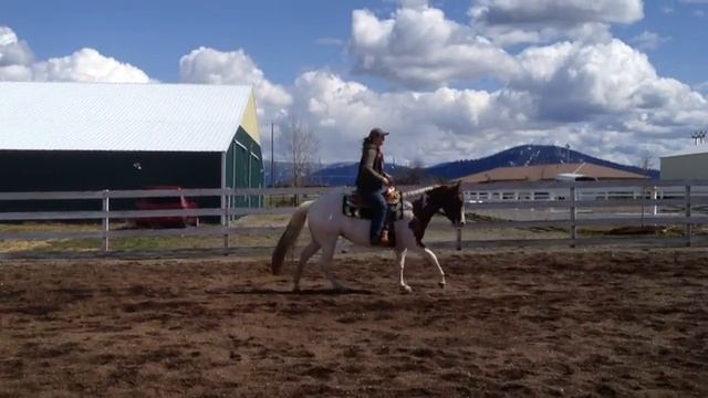 Will Be A Smart Cookie - 3 Yr Old APHA Filly смотреть онлайн