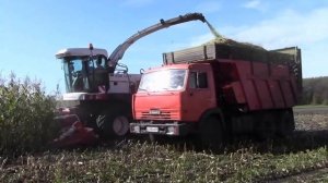 Кормоуборочный комбайн RSM 1401. Демопоказ в Башкирии.