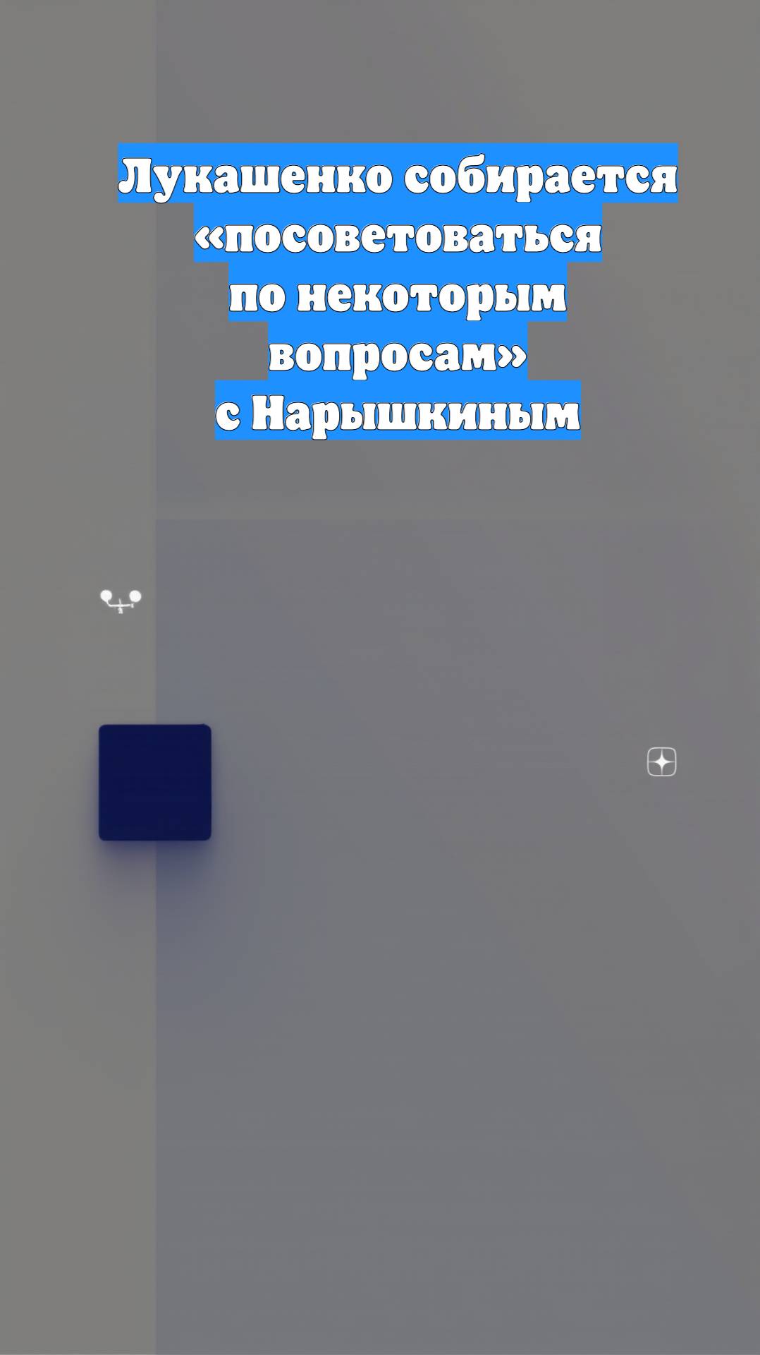 Лукашенко собирается «посоветоваться по некоторым вопросам» с Нарышкиным