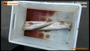 Пресс сепаратор механической обвалки. Рыба