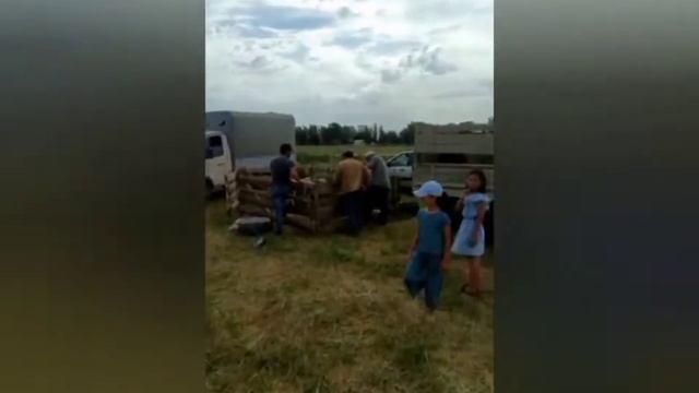 Бабаюрт. Открылся скотный рынок.