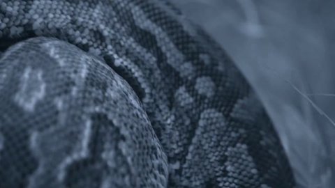 Лимпопо _ Дикие реки Африки _ Discovery