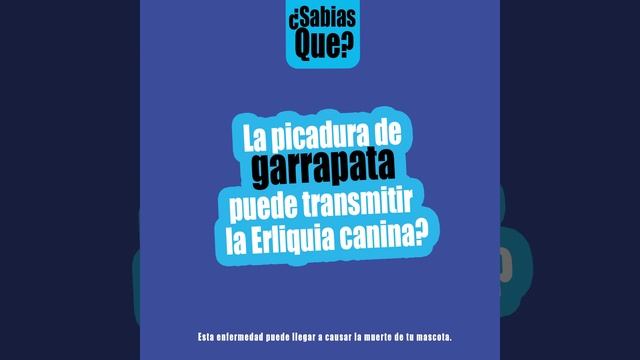 FIPROCAN FORTE смотреть онлайн