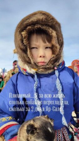 Оленегонная лайка - первый помощник оленевода на Ямале.ТЕРЕК в переводе с ненецкого "лишние когти".