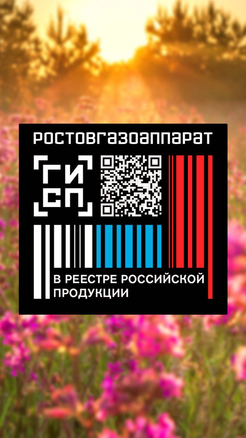 "Ростовгазоаппарат" в Реестре продукции РФ: что это значит? Смотрите подробности в нашем ролике!